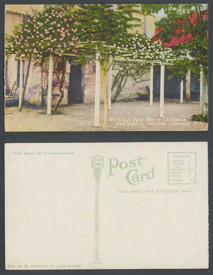 USA Old Postcard Oldest Rose Tree in California San Gabriel Mission Founded 1771