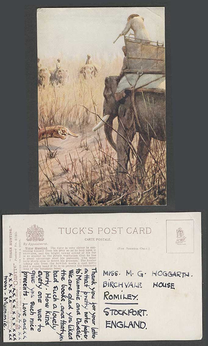 India Old Tuck's Oilette Postcard Tiger Hunting Hunters Elephants Elephant Rider