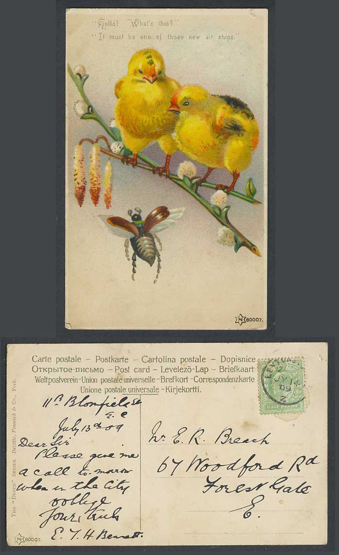 Chicks Birds, Beetle, Hello! What's This? One Of New Air Ships 1909 Old Postcard