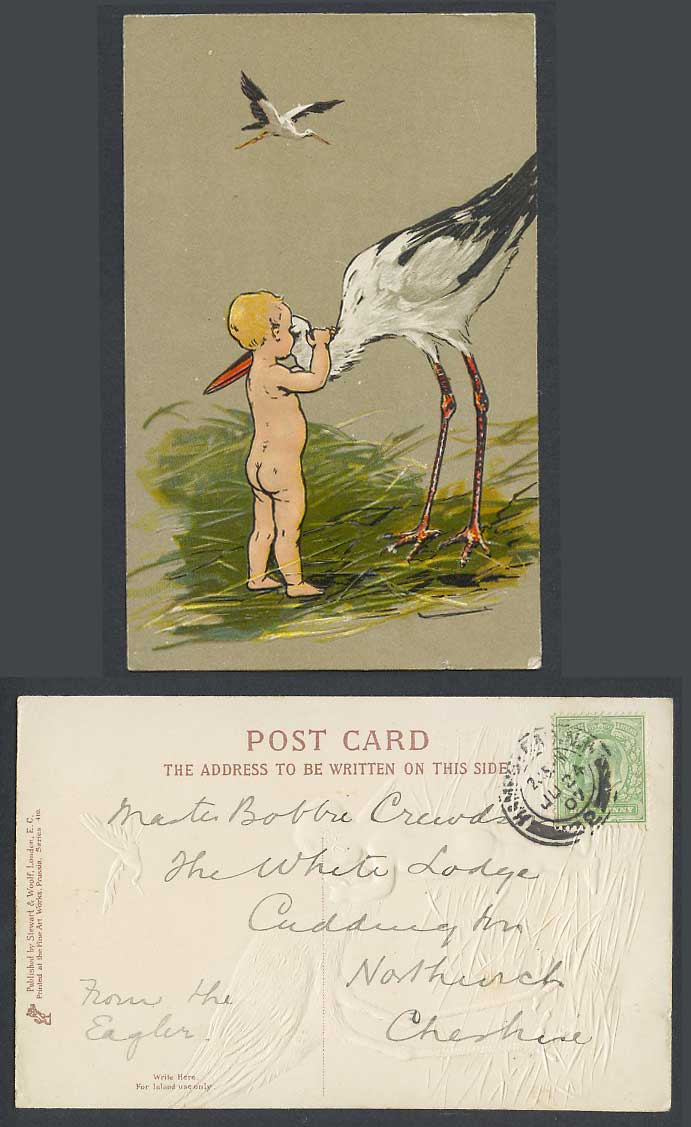 Stork Bird Birds Baby Child Children 1907 Old Embossed Postcard Art Artist Drawn