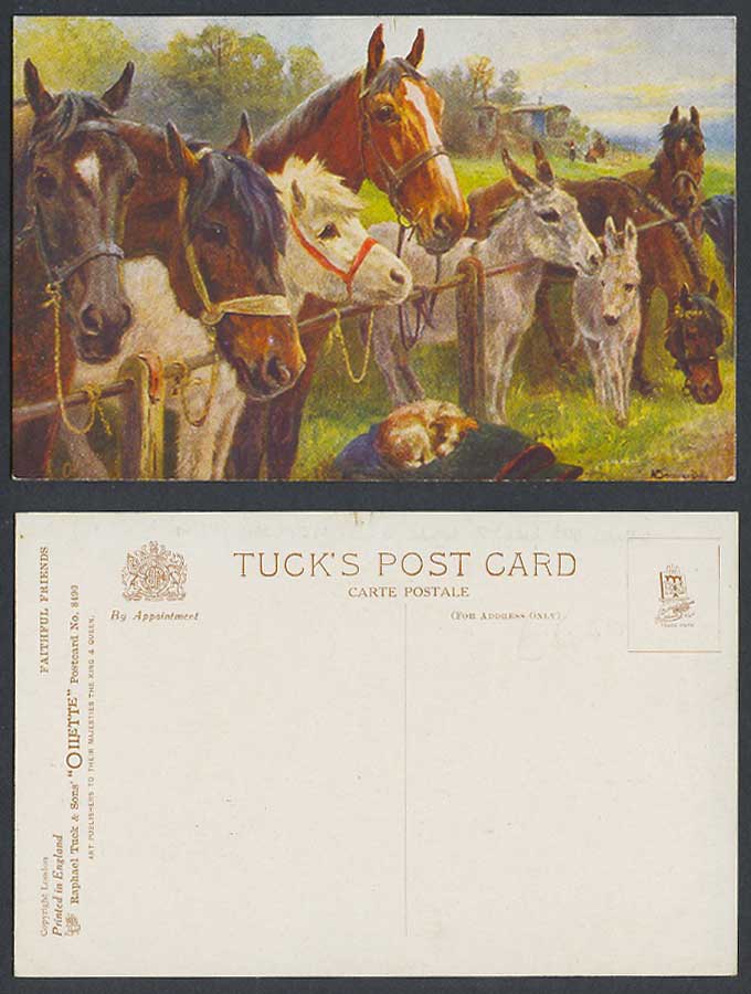 Horse Pony Donkey Dog Puppy, by N. Drummond Faithful Friends Old Tuck's Postcard