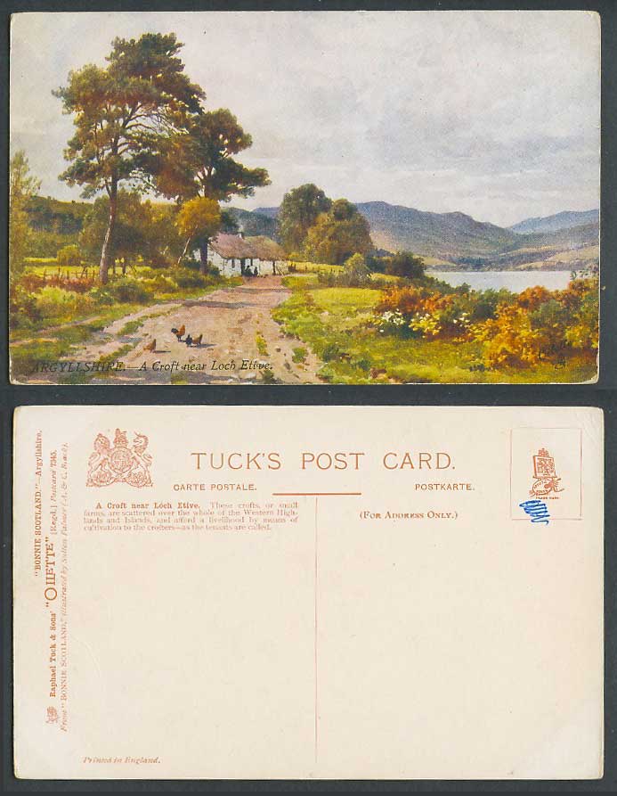 Argyllshire A Croft near Loch Etive Lake Birds Sutton Palmer Old Tuck's Postcard