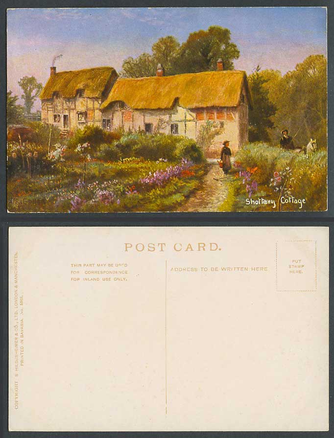 Shottery Cottage Garden, Flowers, Horse, Stratford Art Artist Drawn Old Postcard