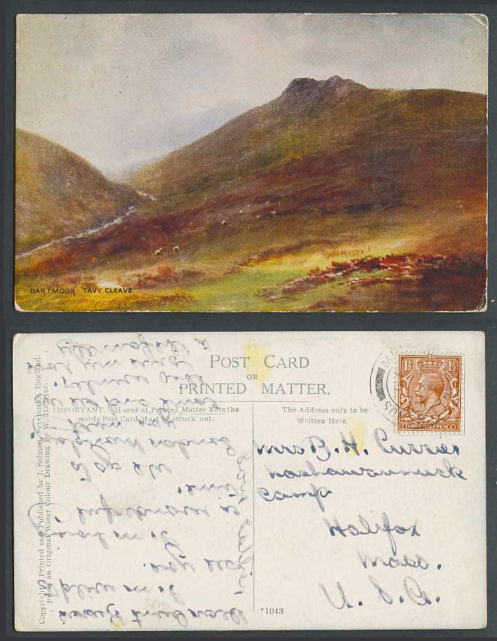 Dartmoor Tavy Cleave, Devon Sheep Hills W.H. Dyer Artist Drawn 1924 Old Postcard