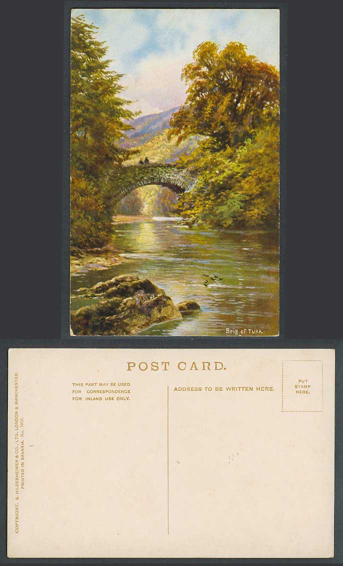 Brig of Turk, Bridge, Trossachs, Stirling Scotland Art Artist Darwn Old Postcard