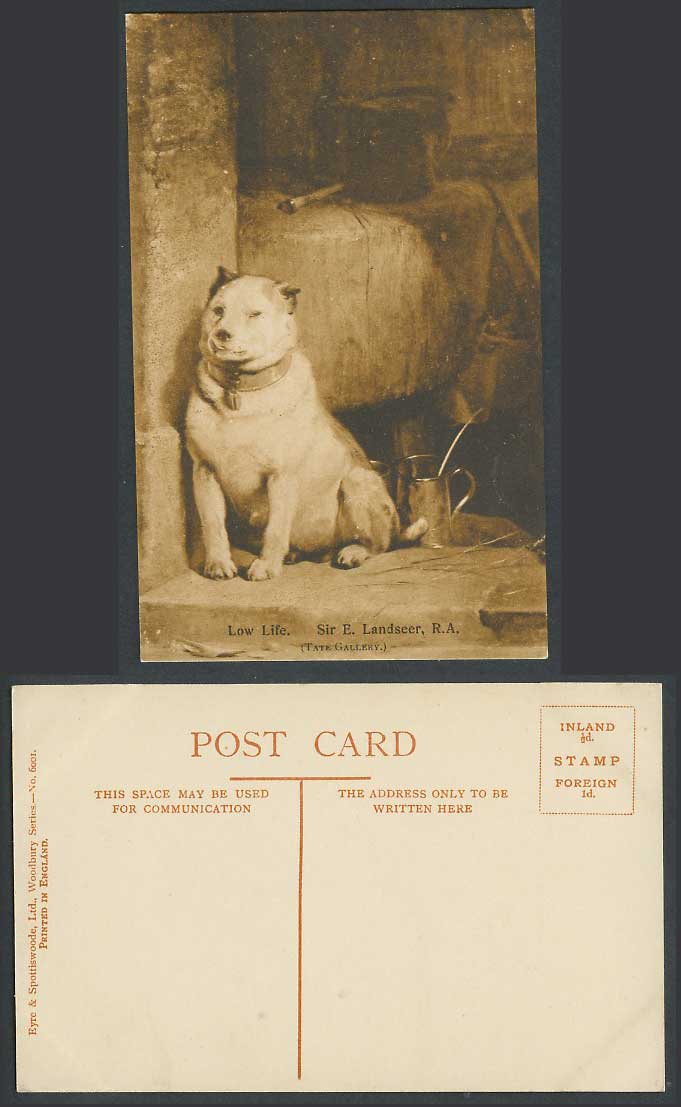 DOG Low Life Tate Gallery London, by Sir E. Landseer R.A. Old Postcard Puppy Pet