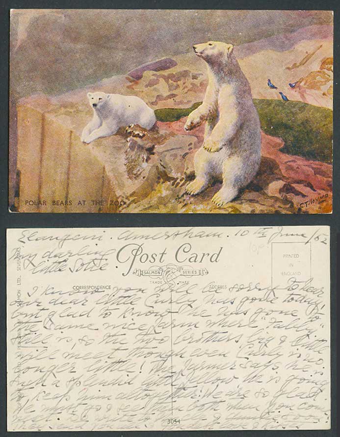 Polar Bears at The Zoo Animals Zoological Gardens Birds C.T. Howard Old Postcard