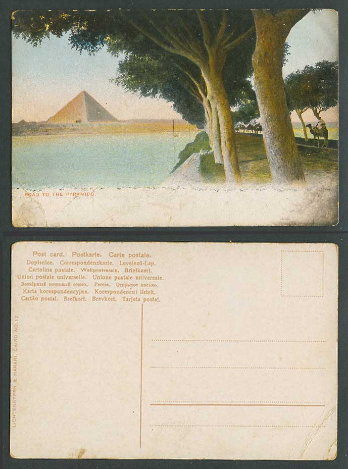 Egypt Old Colour Postcard Cairo Road to The Pyramids La Route des Pyramides N.12