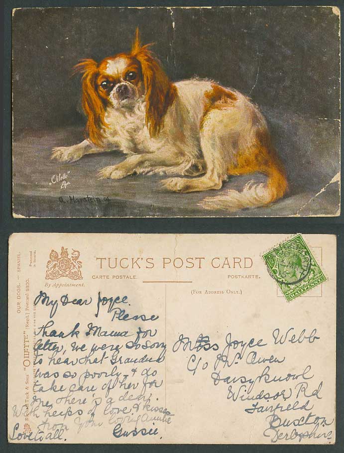 DOG A. Hanstein Artist Signed 1915 Old Postcard Tuck's Oilette, Our Dogs Spaniel
