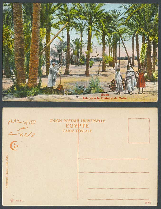 Egypt Old Color Postcard Suez Moses Fountain Fontaine de Moise Palm Tree Palmier