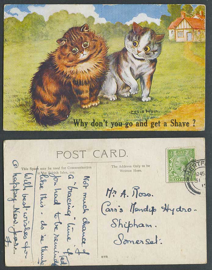 LOUIS WAIN Artist Signed Cats Why Don't You Go and Get a Shave 1915 Old Postcard
