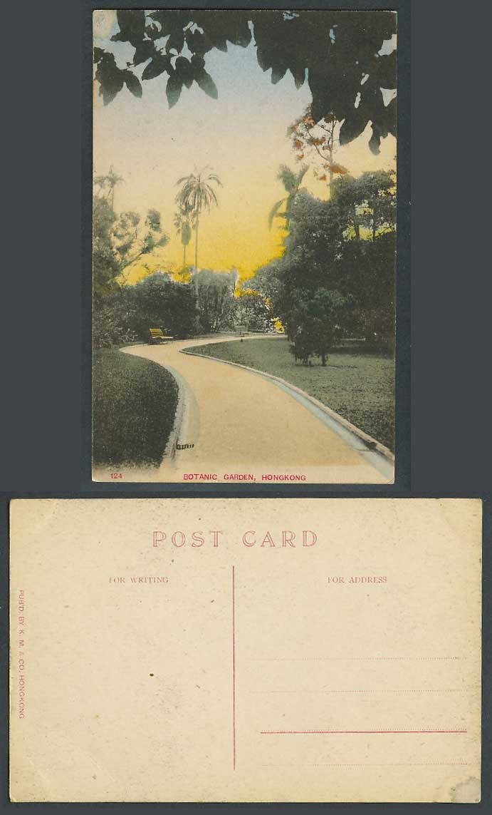 Hong Kong Old Tinted Postcard Botanic Garden Botanical Gardens Palm Trees Sunset