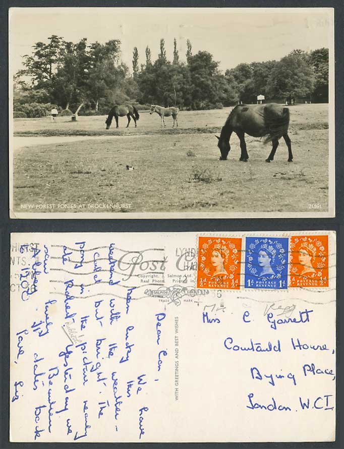 New Forest Ponies at Brockenhurst Horse Horses Pony 1956 Old Real Photo Postcard