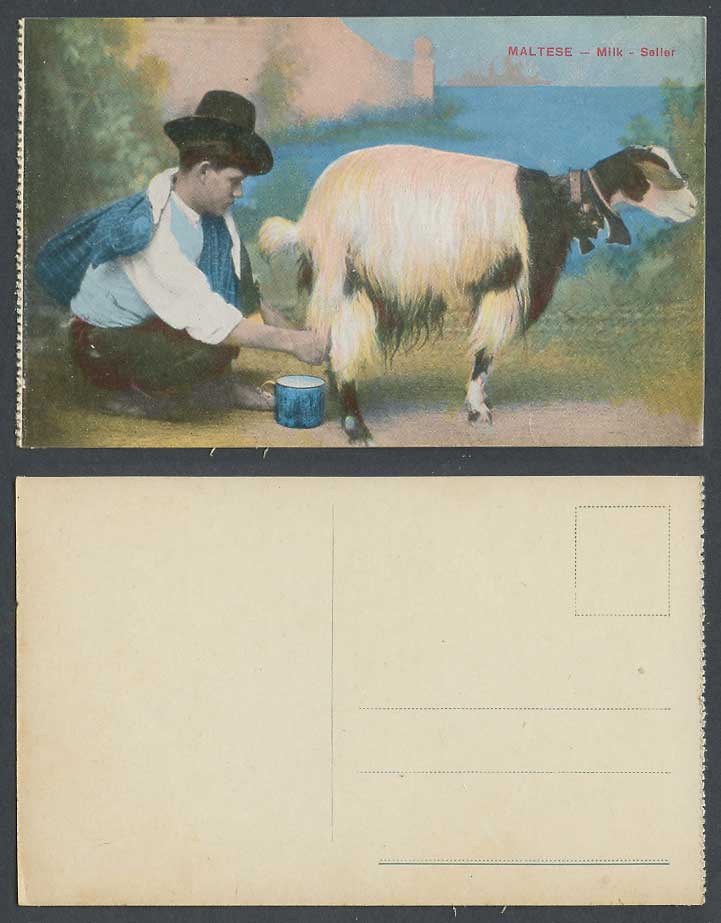 Malta, A Maltese Milk Man Seller Vendor Milkman Milking GOAT Old Colour Postcard