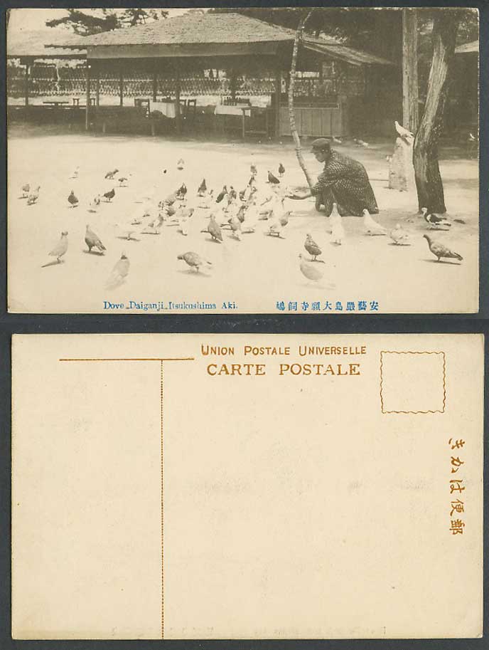 Japan Old Postcard Dove Daiganji Birds Itsukushima Aki Shrine Temple 安藝嚴島 大願寺 飼鳩