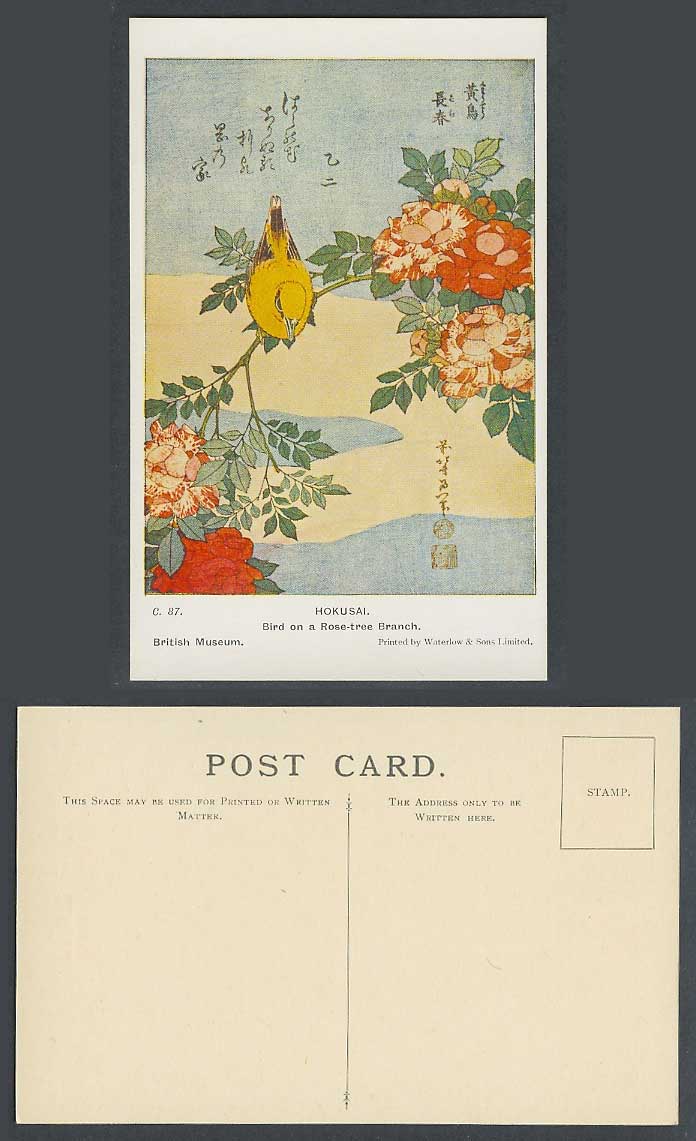 Japan Old Postcard Yellow Bird on Rose Tree Branch HOKUSAI Artist Signed Flowers