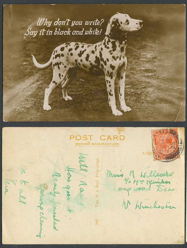 Dalmatian Dog, Why don't you write? Say it in black and White 1935 Old Postcard