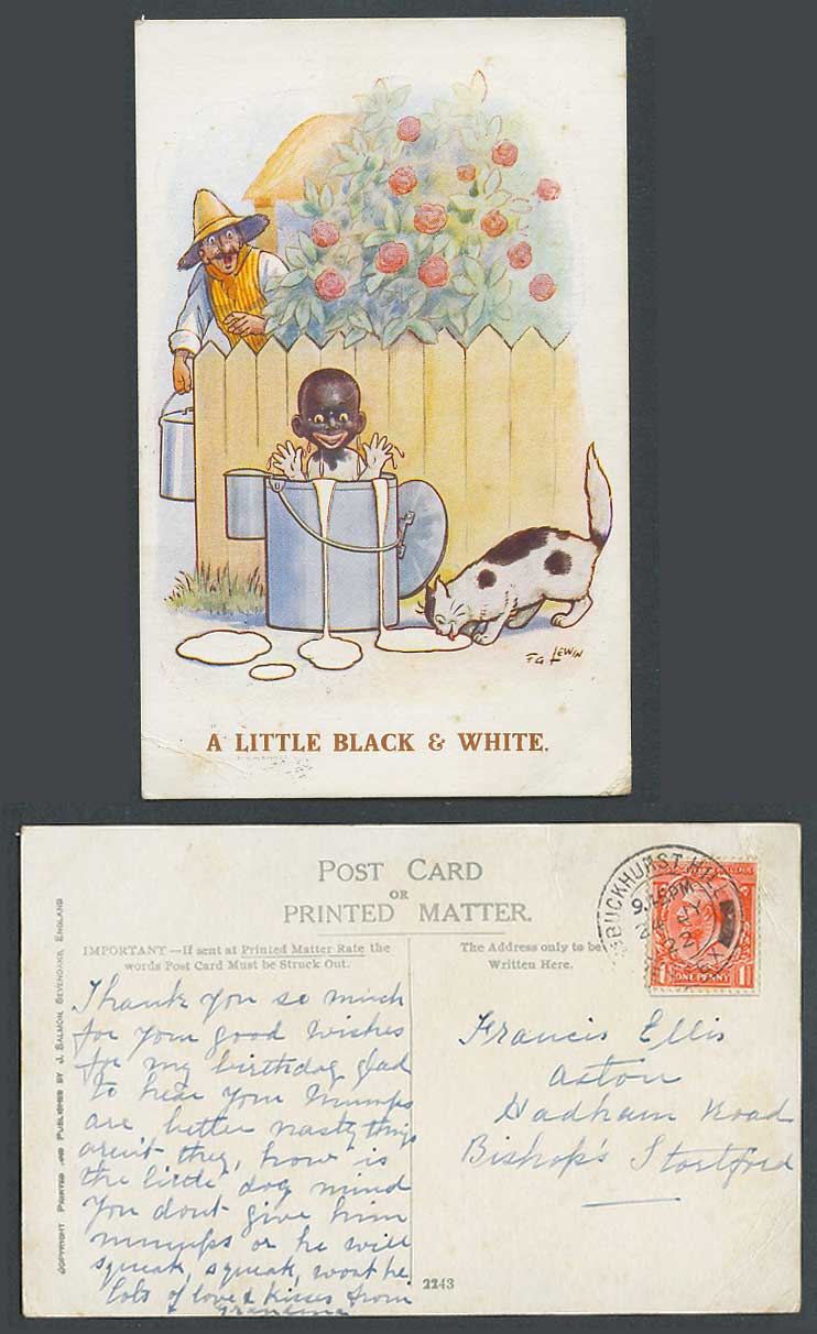F.G. Lewin 1922 Old Postcard Black Boy in Milk Cat Kitten A Little Black & White