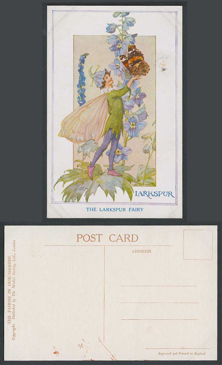 Margaret W. Tarrant Old Postcard Larkspur Fairy Fairies in Our Garden, Butterfly