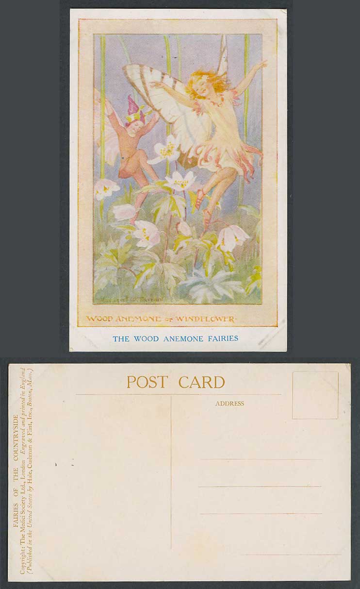 Margaret W Tarrant Old Postcard The Wood Anemone Fairies Windflower Flowers Girl