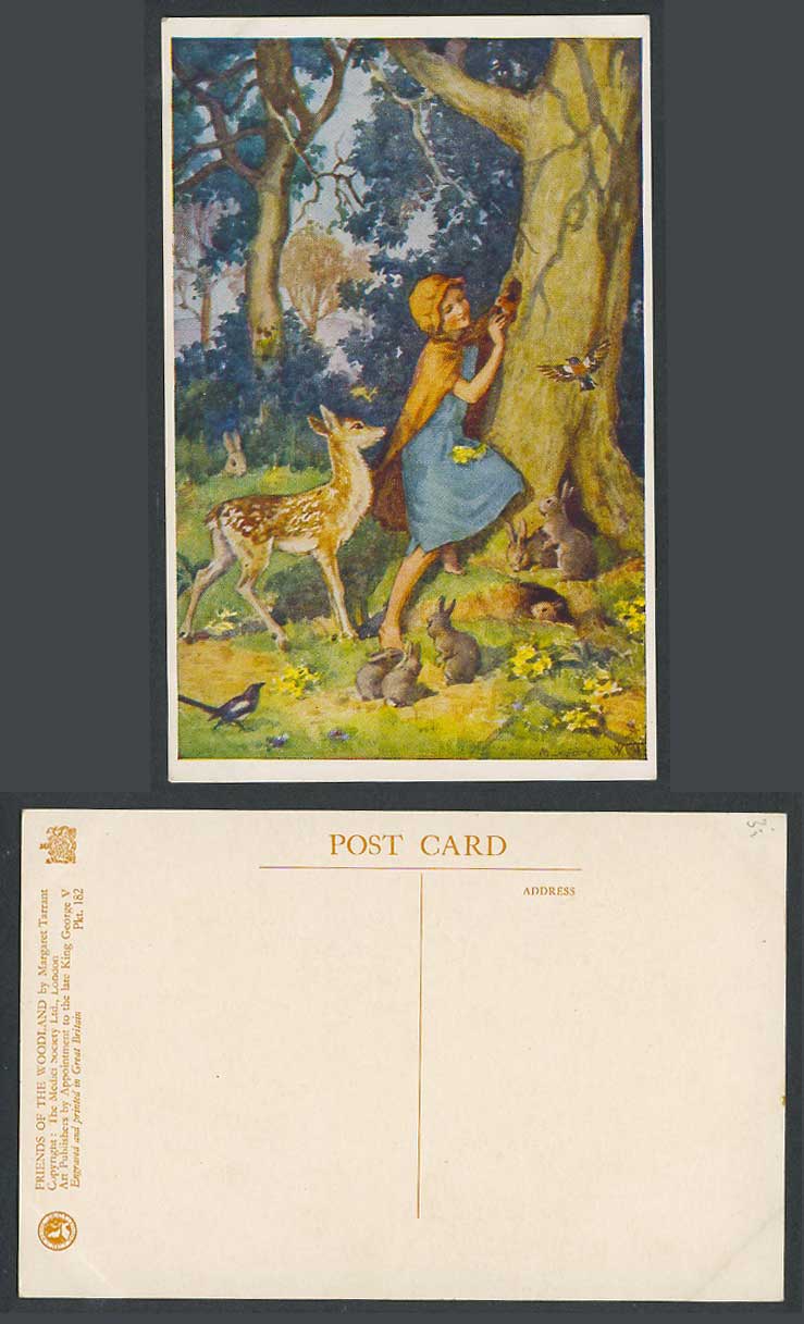 Margaret W. Tarrant Old Postcard Friends of The Woodland Deer Birds Rabbits Girl