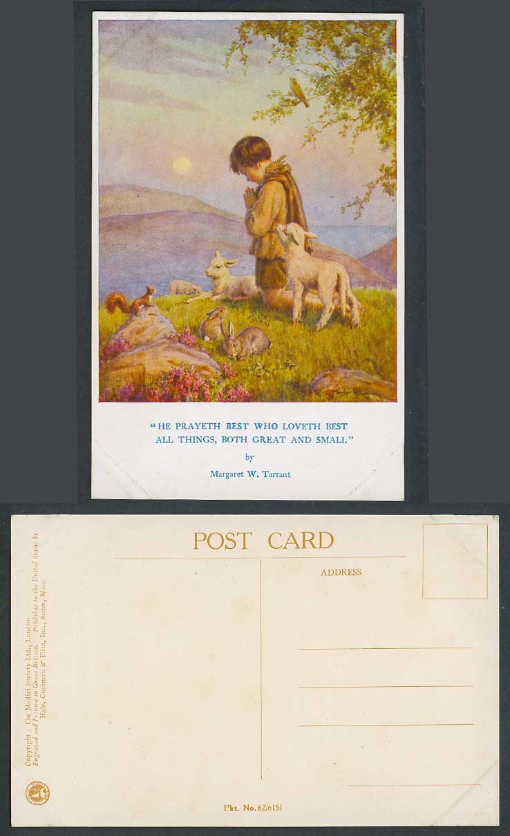 Margaret W. Tarrant Old Postcard Boy Shepherd Prayer, Sheep Lamb Rabbit Squirrel