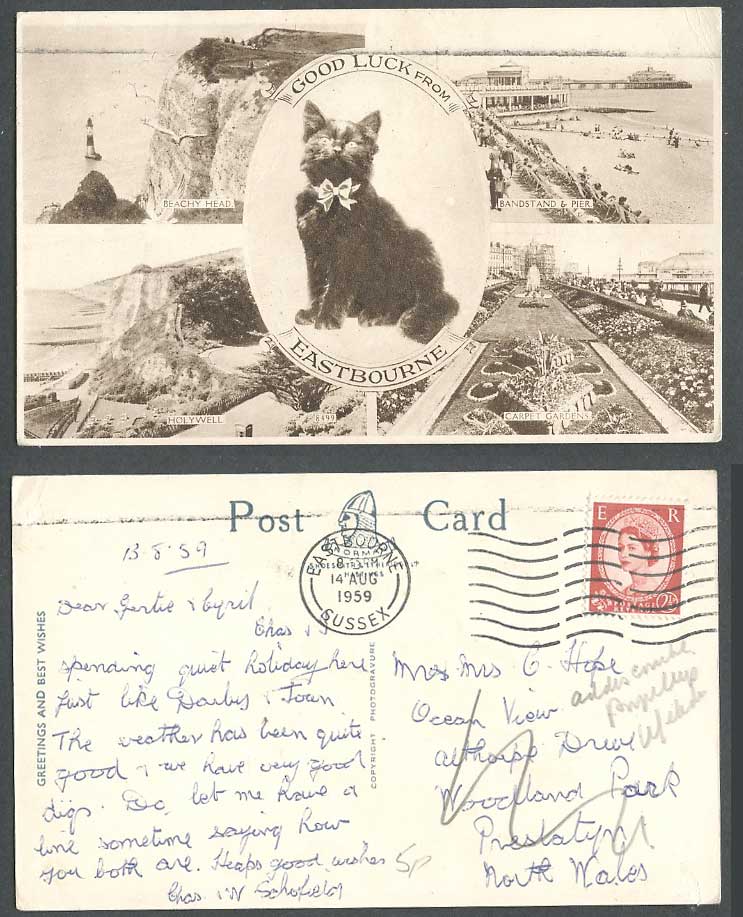 Eastbourne 1959 Old Postcard Cat, Holywell. Beach Head Lighthouse Bandstand Pier