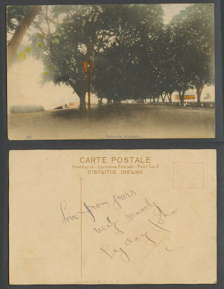 Singapore Old Hand Tinted Postcard The Esplanade Tree-Lined Street Scene No. 54