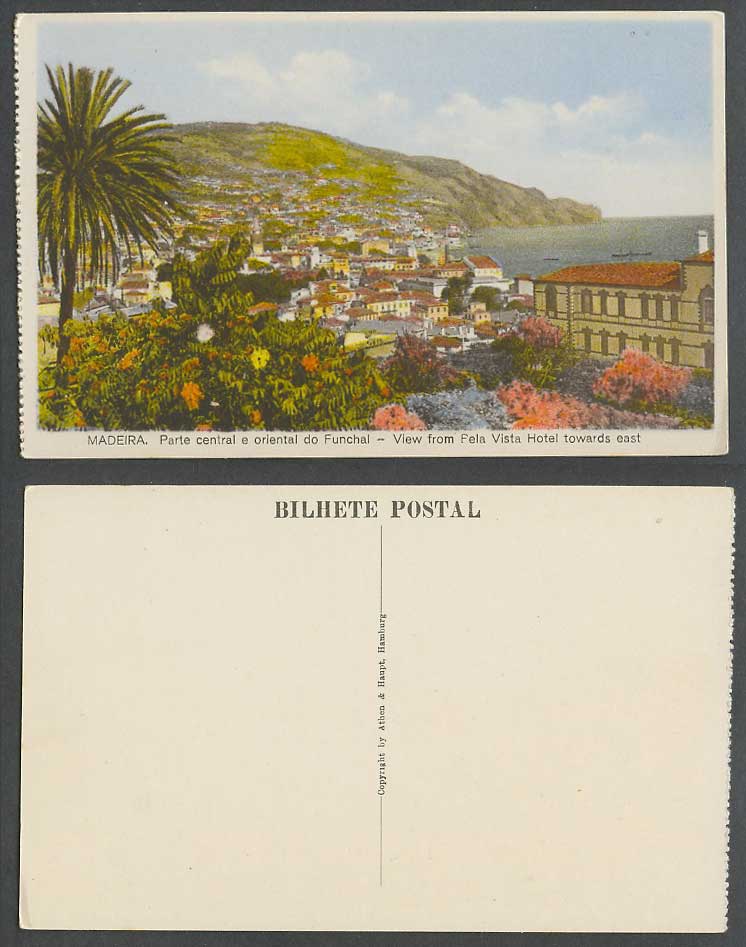 Portugal Old Colour Postcard Madeira - View from Pela Vista Hotel towards East