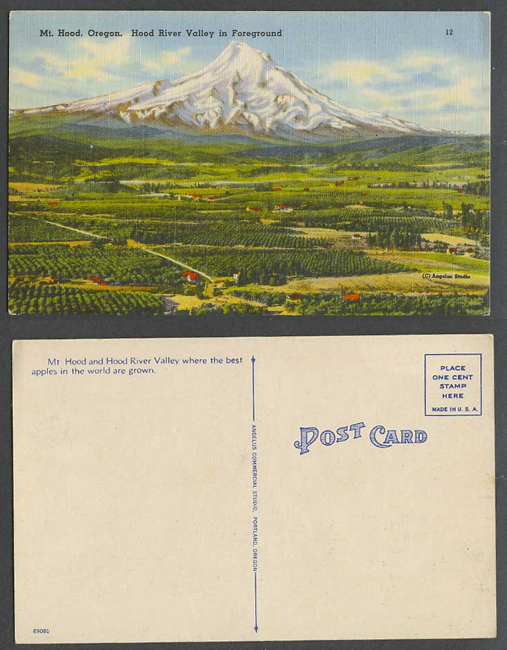 USA Old Postcard Mt. Hood Volcano Oregon Hood River Valley in Foreground, Apples