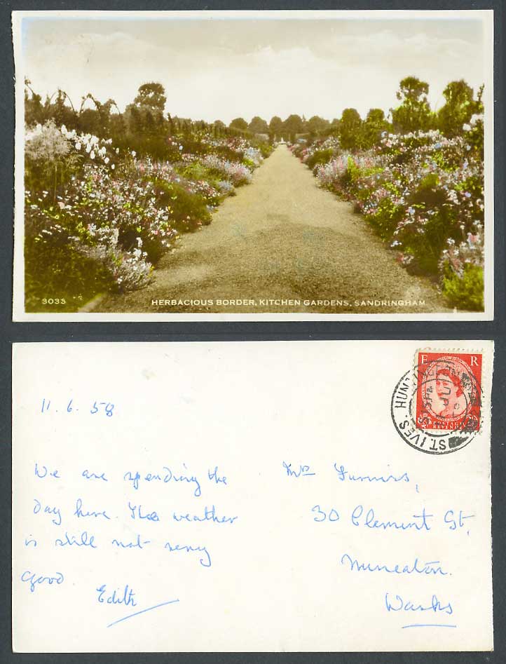 Sandringham, Kitchen Gardens Herbacious Herbaceous Border 1958 Old R.P. Postcard