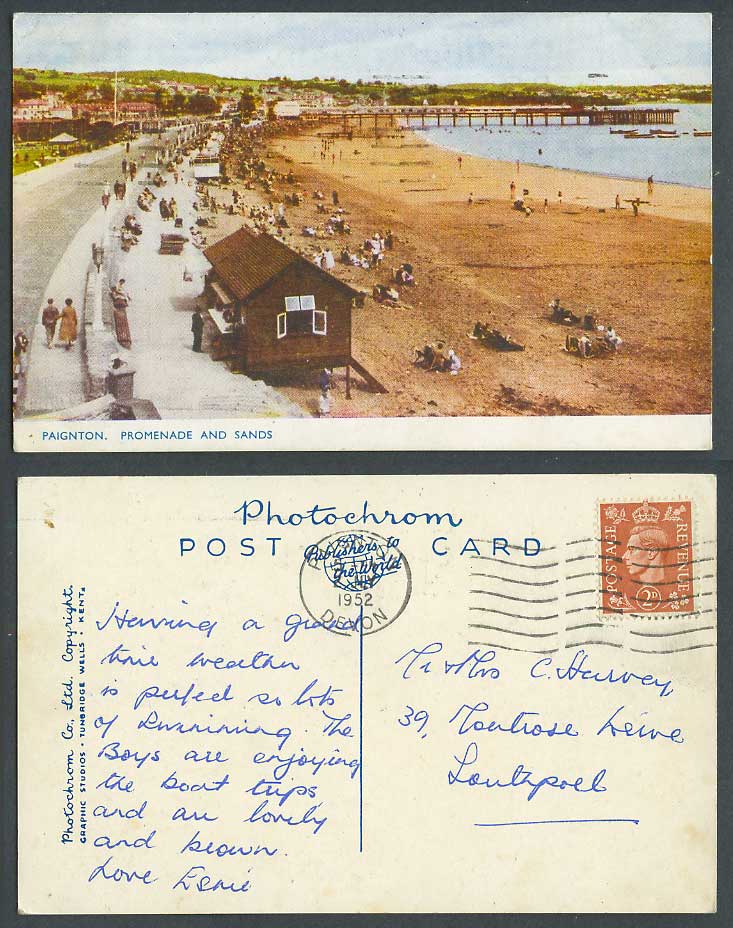 Paignton Promenade and Sands Pier Beach Seaside Panorama Devon 1952 Old Postcard