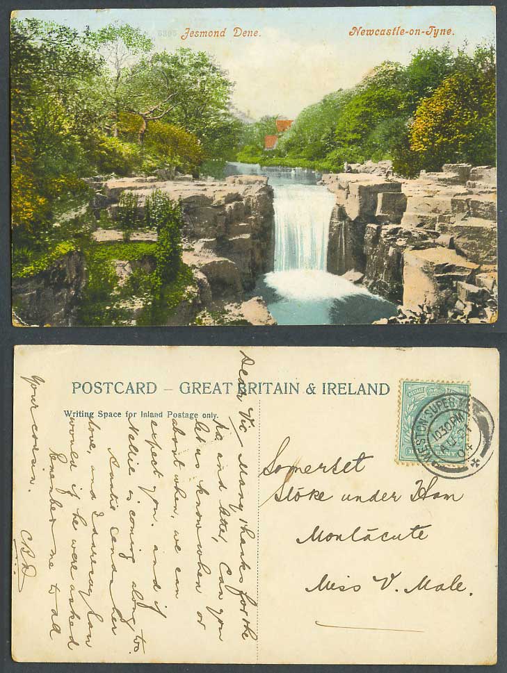 Newcastle-on-Tyne 1904 Old Colour Postcard Jesmond Dene Waterfall Northumberland