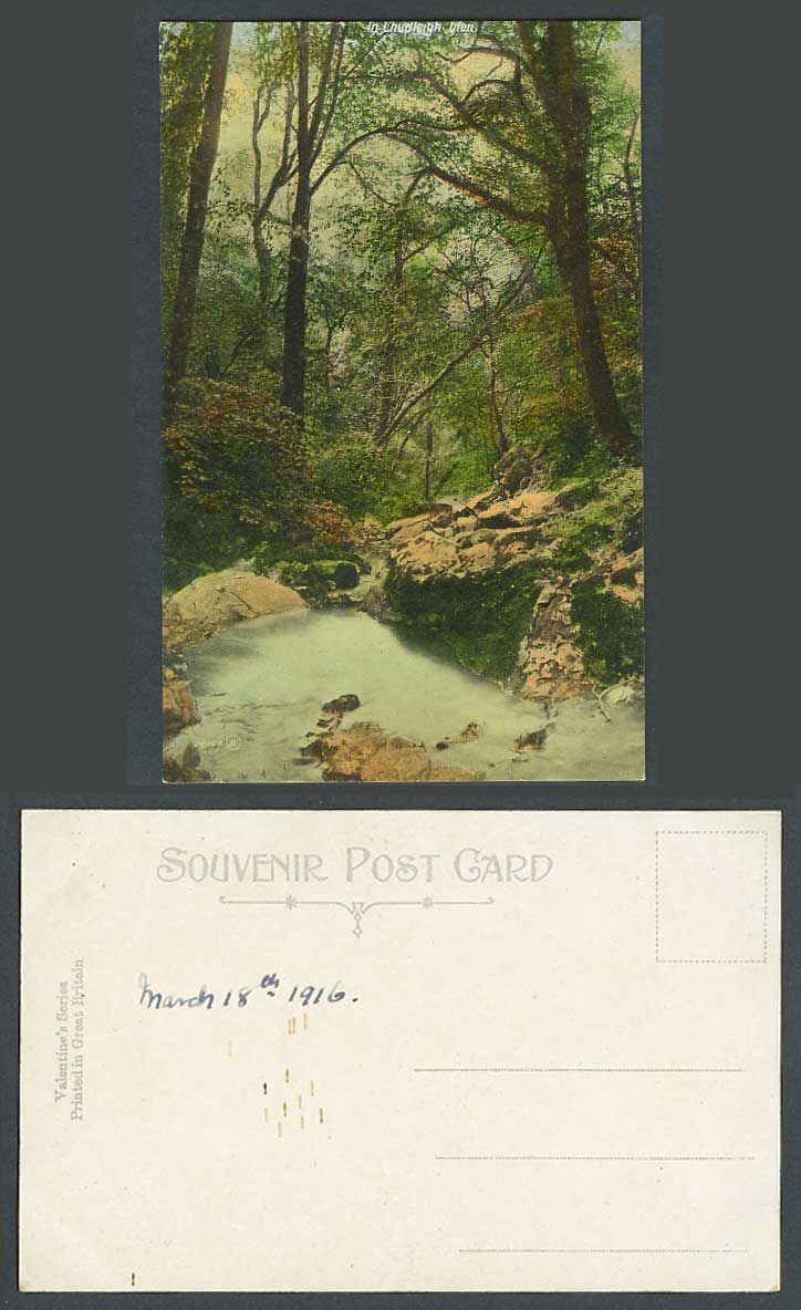 In Chudleigh Glen, Devon, March 1916 Old Colour Postcard River Scene Rocks Trees