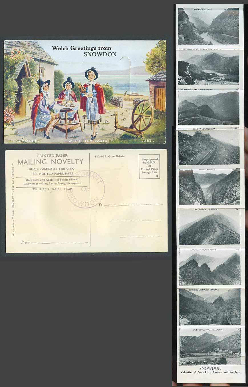 Snowdon Welsh Greetings Ladies Women Tea Party Novelty Pull-Out Old ART Postcard