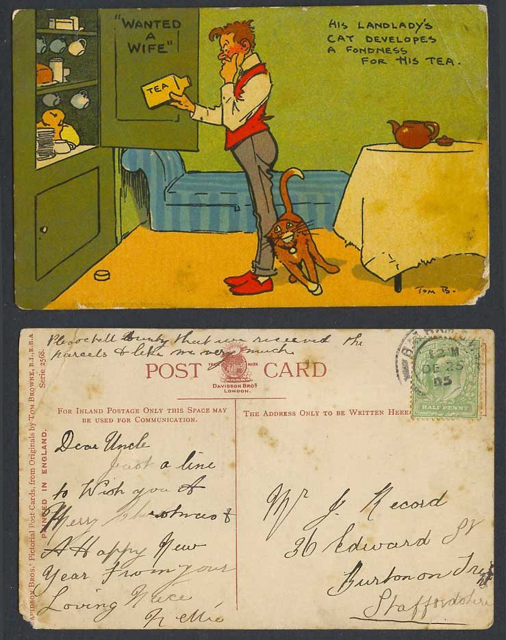 Tom Browne Old Postcard Wanted a Wife Landlady's Cat Develops a Fondness For TEA