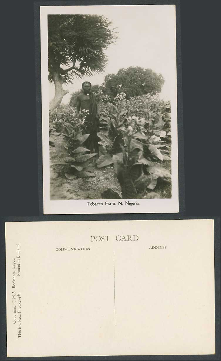 Nigeria Old Real Photo Postcard Tobacco Farm N. Nigeria, Native Black Farmer CMS