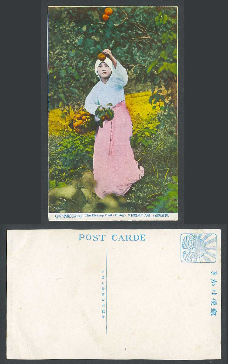 Korea Old Colour Postcard Native Korean Lady Woman Girl Pick-Up Fruits 朝鮮 婦人之果物採