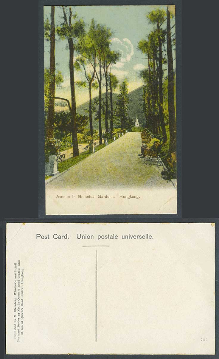 Hong Kong China Old Colour Postcard Avenue in Botanical Gardens, Botanic Garden