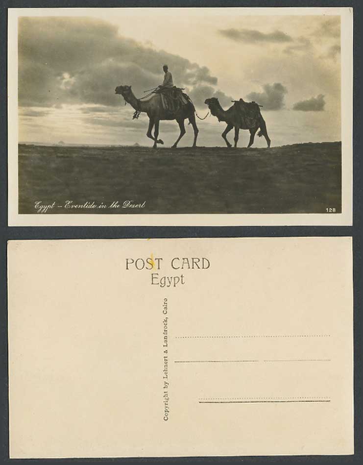 Egypt Old RP Postcard Eventide in Desert Pyramids Giza Camels Native Camel Rider