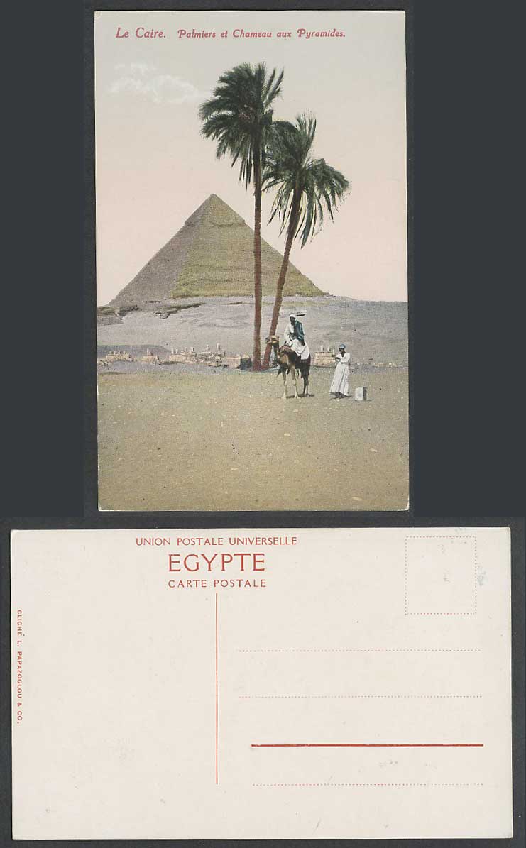 Egypt Old Colour Postcard Cairo Pyramid Camel, Caire Palmiers Chameaux Pyramides