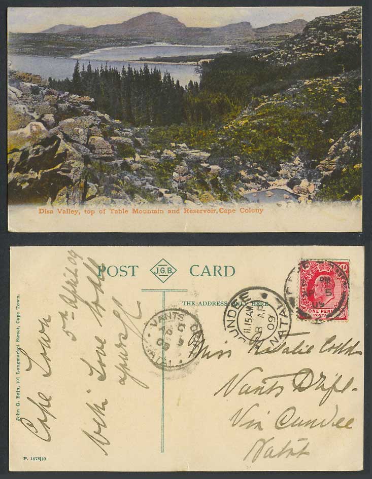 South Africa 1909 Old Postcard Disa Valley Table Mountain Top Reservoir Cape Co.