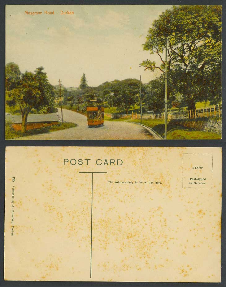 South Africa Old Colour Postcard Musgrave Road Durban, Street Scene TRAM Tramway