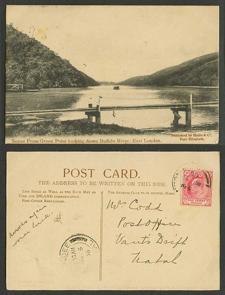South Africa 1906 Old Postcard East London, Green Point Look Down Buffalo River