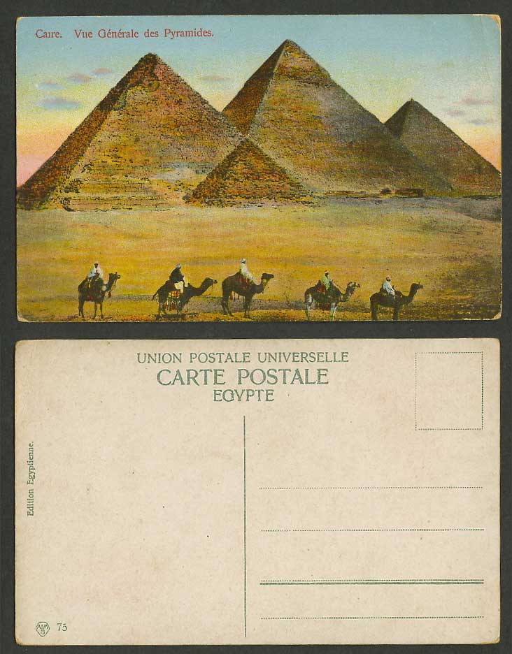 Egypt Old Colour Postcard Cairo Pyramids Camels Caire Vue Generale des Pyramides