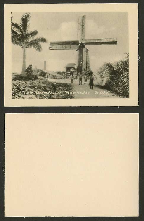 Barbados The Windmill, Palm Tree BWI Old Card Snap Shot View British West Indies