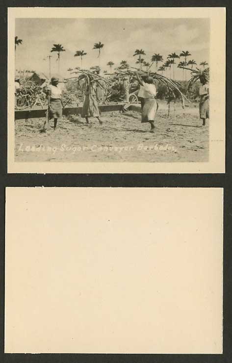 Barbados Loading Sugar Conveyor Sugarcane Old Card Snap Shot British West Indies