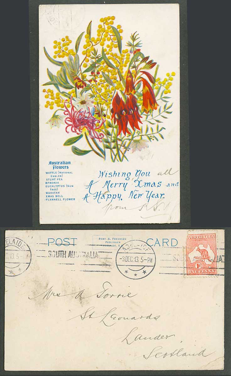 Australian Flowers 1913 Old Postcard Wattle Sturt Pea Boronia Eucalyptus Waratah
