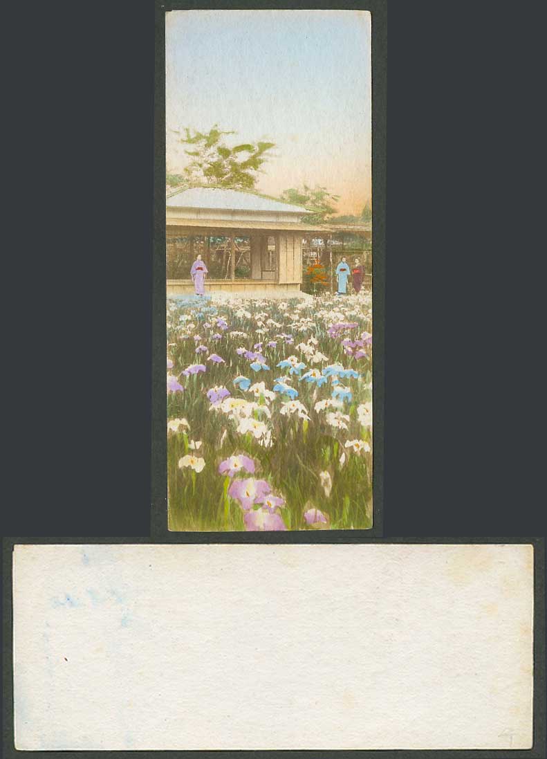 Japan Old Hand Tinted Picture Bookmark Style Horikiri Iris Gardens Flowers Tokyo