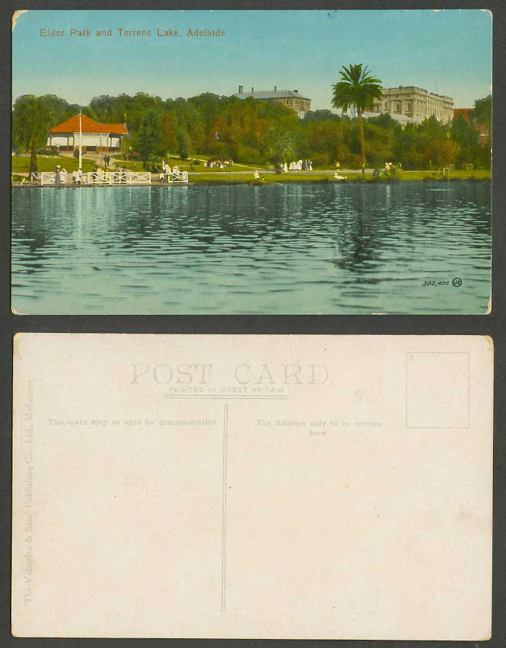 Australia Old Colour Postcard Adelaide, Elder Park and Torrens Lake, a Palm Tree